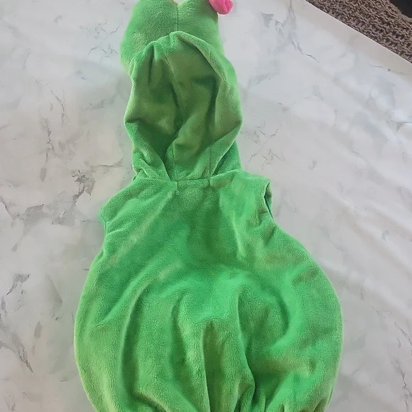 Princess Paradise Felicia the Frog Costume rare - Picture 7 of 9